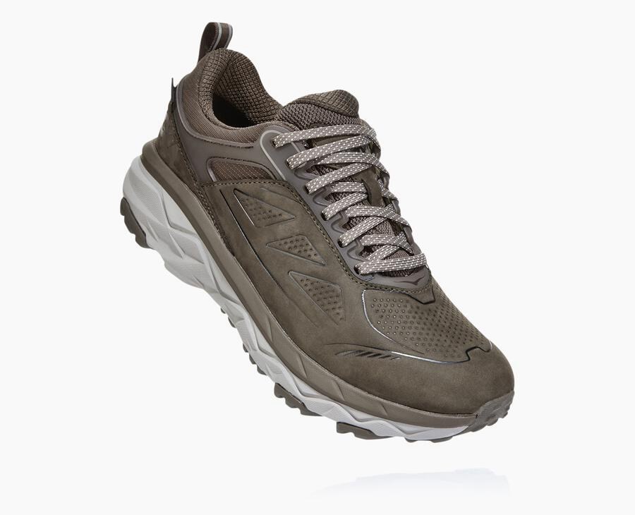 Tenis Trail Hoka One One Feminino Marrom - Challenger Baixo Gore-Tex - 690-ALTZOP